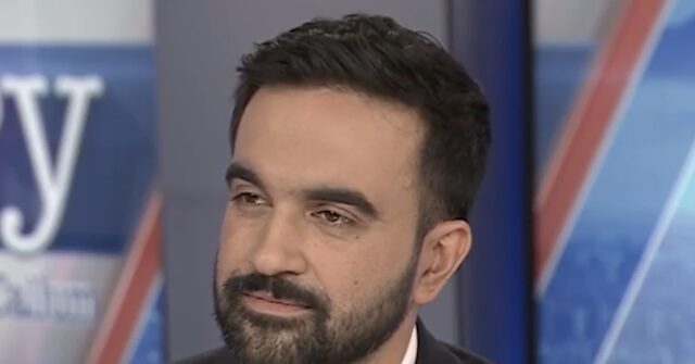 Mamdani on NYPD Arresting ICE Agents: Focus Is on Sanctuary Law, But ‘Has to Be Accountability for All of Us’ for Law to Be Meaningful