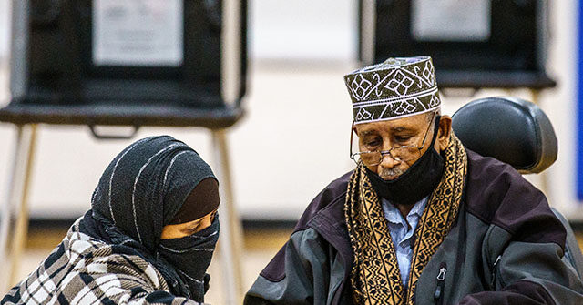 Nolte: GOP Probes How Democrats Use Illegals and Refugees to Rig Elections