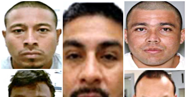 ICE Agents Arrest Illegal Alien Sex Offenders, Burglars, Drug Traffickers in Latest Nationwide Sweep