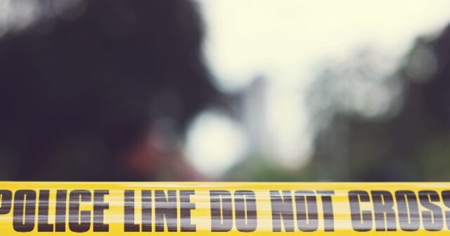 Arizona Flag Football Tournament Descends into 100-Person Brawl