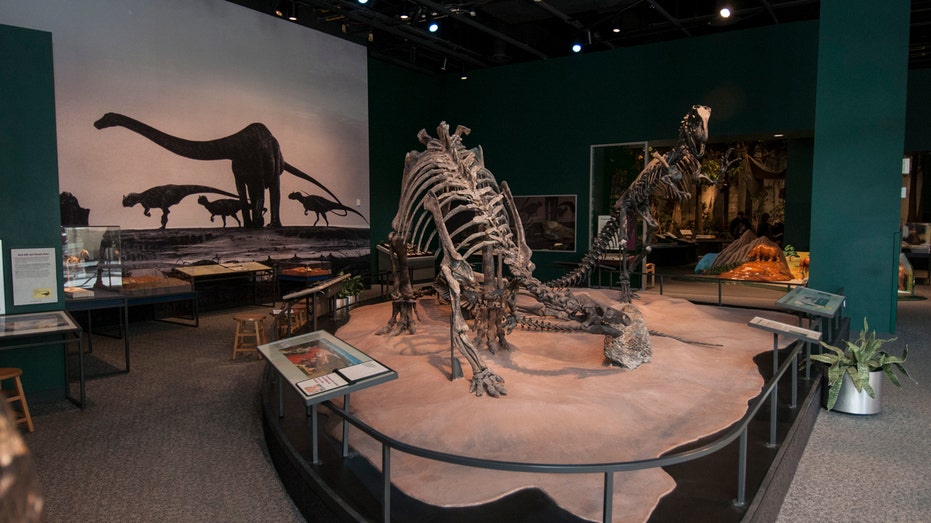 Twin Cities museums slam their doors Friday as they take sides in ‘ICE-Out’ strike